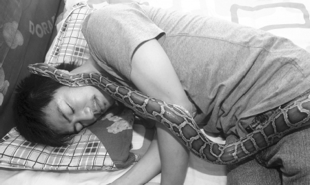 26岁小伙痴迷饲养爬行动物常年与蟒蛇同床共眠