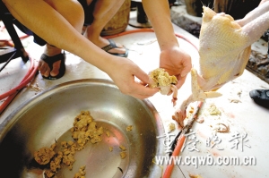 商贩为给活鸡增重用石粉灌进鸡胃(图)