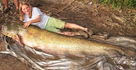 11岁女孩钓得87.5公斤重鲶鱼(组图)