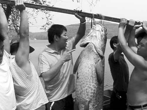 打鱼者捕获一条154斤重青鱼(组图)