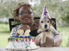 世界最长寿狗庆26岁生日 相当于人类182岁(图)