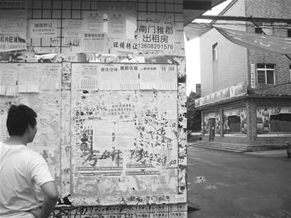 校园内张帖急聘“三奶”启事当事人遭声讨