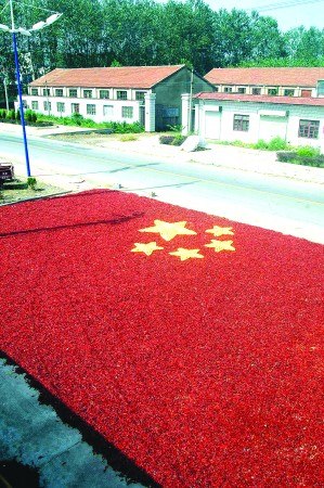 图文：农民用辣椒玉米拼出国旗