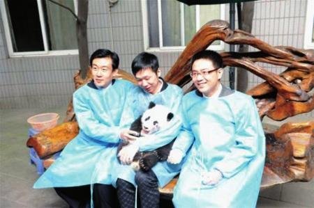 “熊猫烧香”制作者李俊认养熊猫 当上CEO(图)