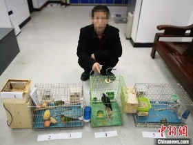 浙江警方抓获8名非法交易濒危野生动物人员