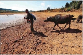 云南部分地区旱象初现 10万人饮水困难
