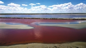 内蒙古毛乌素沙漠腹地发现10km污水湖