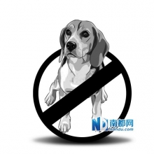 广州拟立法禁带宠物进公园 导盲犬除外