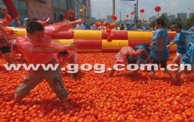 贵阳千人“番茄大战”打烂25吨番茄(图)