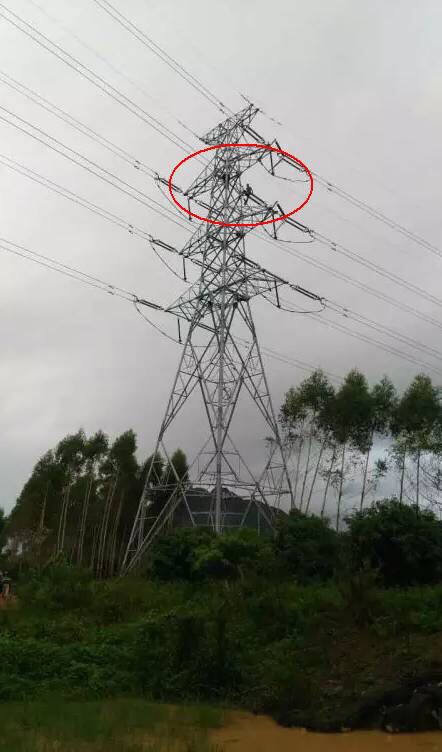 8月15日上午，犯罪嫌疑人坐在一高压电塔上。 微博网友@陆丰吧 图