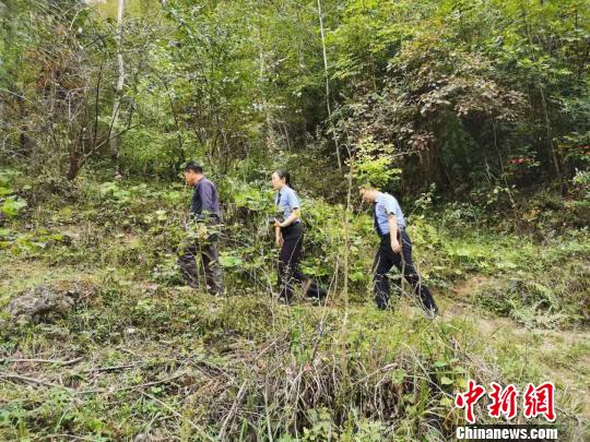 æ¹åä¿åº·å¿ä¸ææ°çæéçå¨ç©è¢«è´£ä»¤âä¹å¡å·¡å±±â