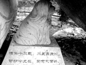 南京紫金山下出现疑似“天价狗墓” 刻墓志铭