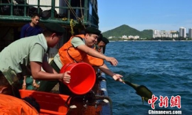 海南查获非法猎捕收购运输野生苏眉鱼4渔民被刑