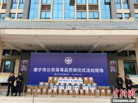 广西南宁集中销毁500余公斤毒品 案值近亿元